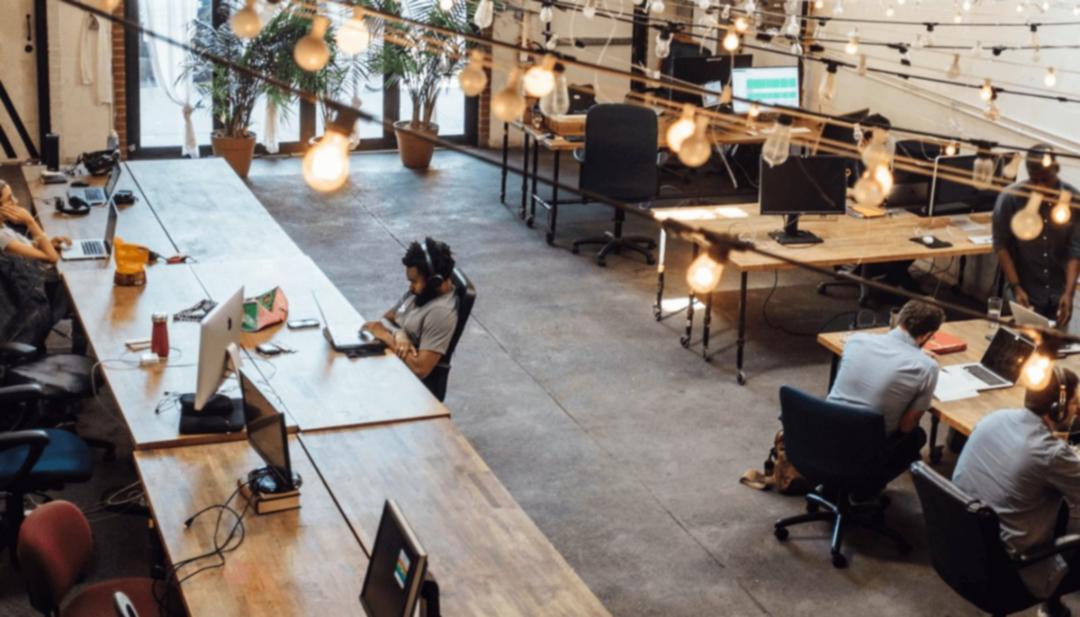 Sesiune practică de analiză tehnică SEO pe platforma Pruvolisane