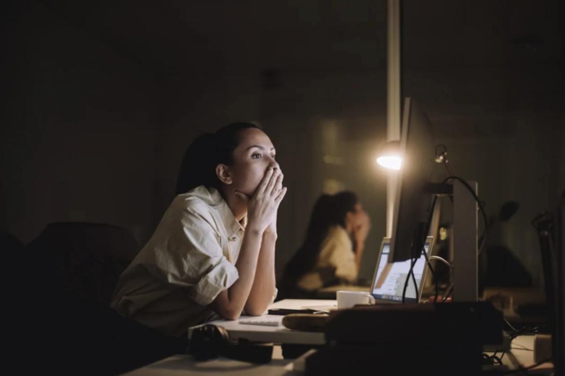 Platformă educațională interactivă Pruvolisane pentru învățarea SEO tehnic